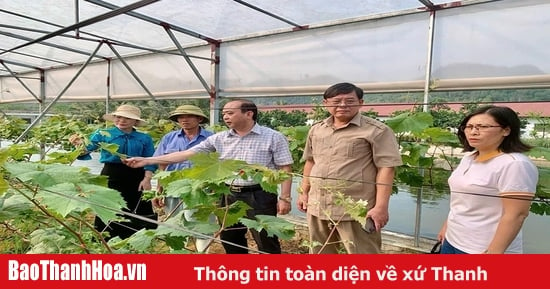 Tiếp sức cho nông dân làm giàu