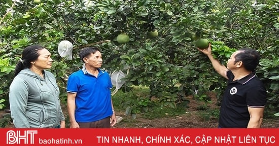 Bà bí thư kiêm thôn trưởng lăn lộn với phong trào ở vùng thượng Kỳ Anh