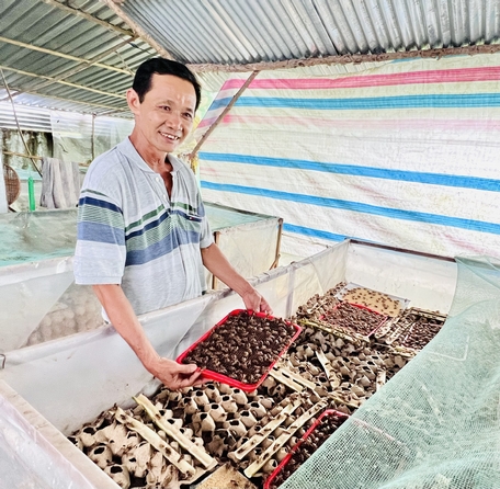 M. Nguyen Van Hung avec une ferme de grillons de plus de 40 cages. Selon lui, l'élevage de grillons doit disposer de nouvelles techniques pour une efficacité économique élevée.