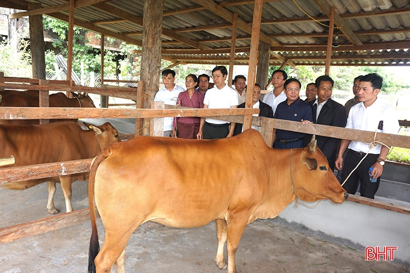 Hương Khê hỗ trợ nông dân Lào hơn 1 tỷ đồng phát triển nông nghiệp