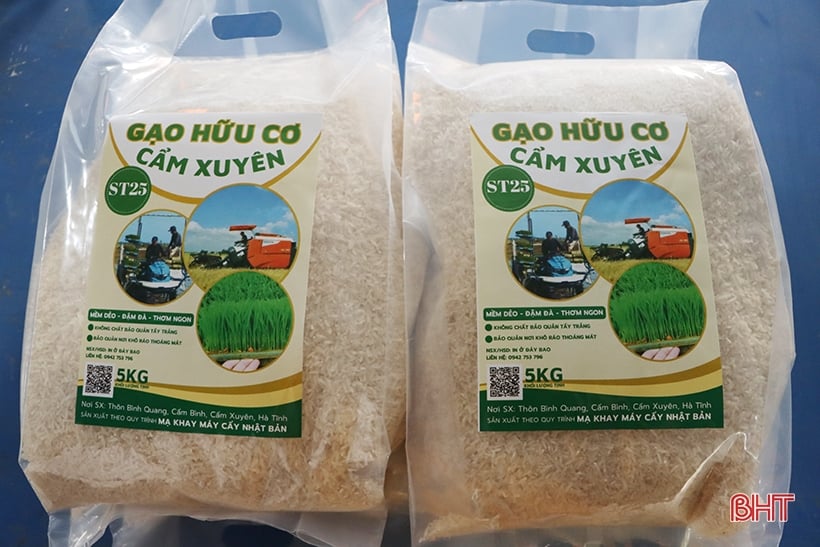 Tạo đà xây dựng thương hiệu “Gạo hữu cơ Cẩm Xuyên ST25”