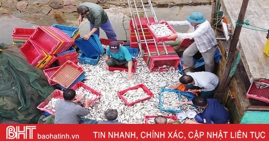 Sản lượng khai thác thủy sản 9 tháng đạt 32.327 tấn