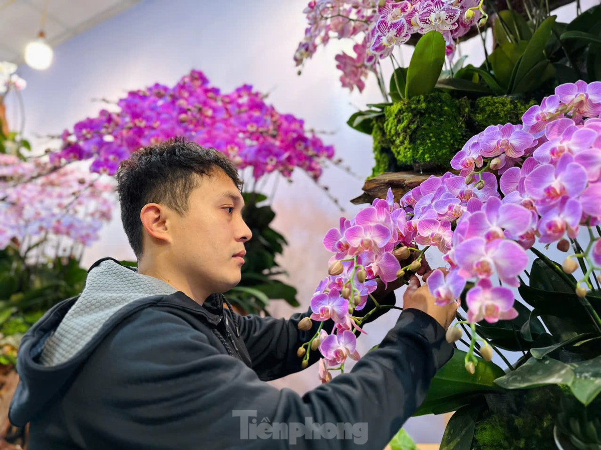 Pot d'orchidée unique avec 300 branches sur bois flotté, d'une valeur de plusieurs centaines de millions de dongs, photo 6