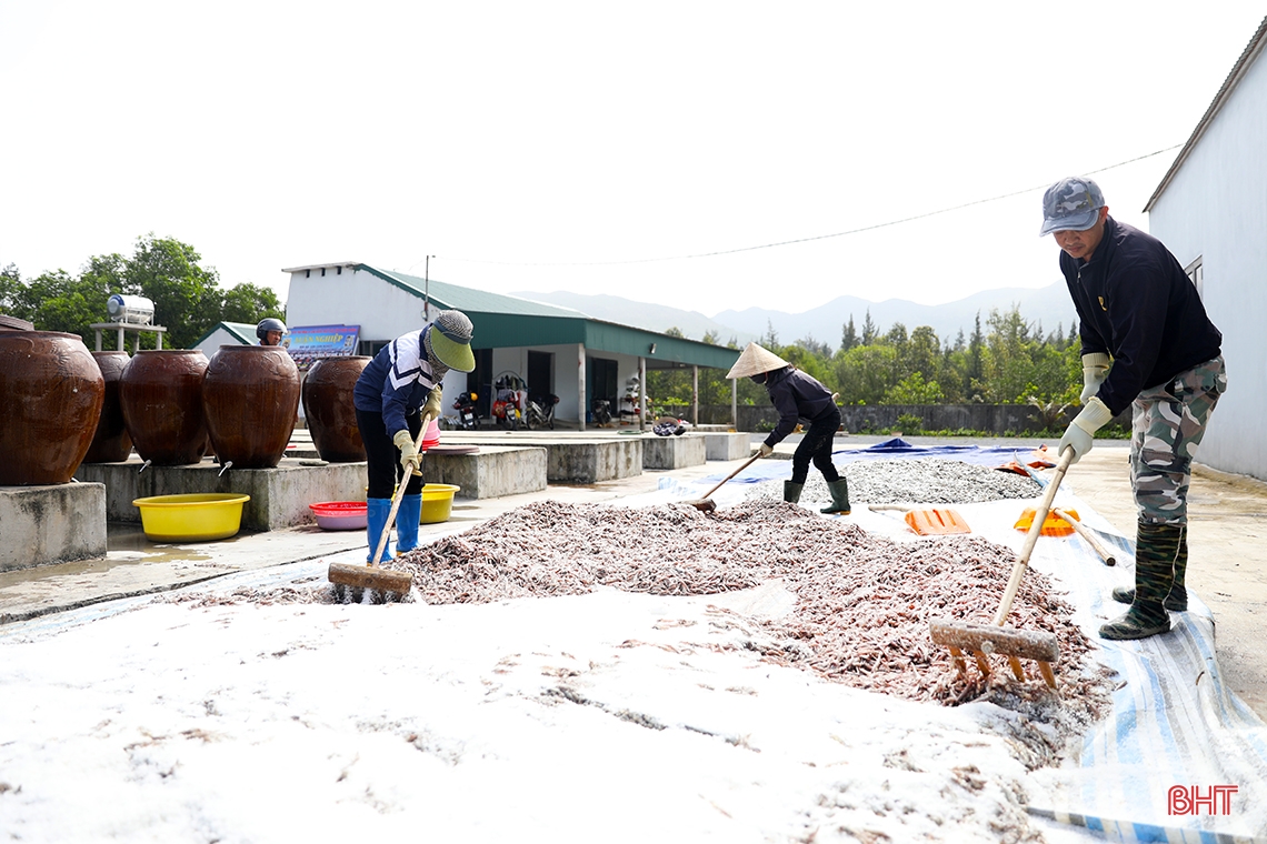 Traditional fish sauce facilities in the South of Ha Tinh enter new production season