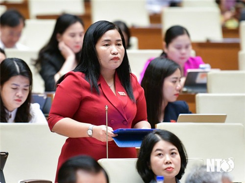 Delegación de Diputados de la Asamblea Nacional de la Provincia de Ninh Thuan: Participó en el debate en el Salón sobre la Ley que modifica y complementa una serie de artículos de la Ley de Publicidad.