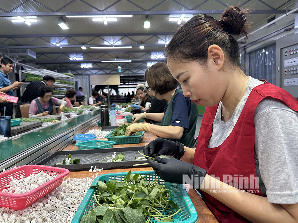 เปิดประตูสู่การทำงานตามฤดูกาลในเกาหลี