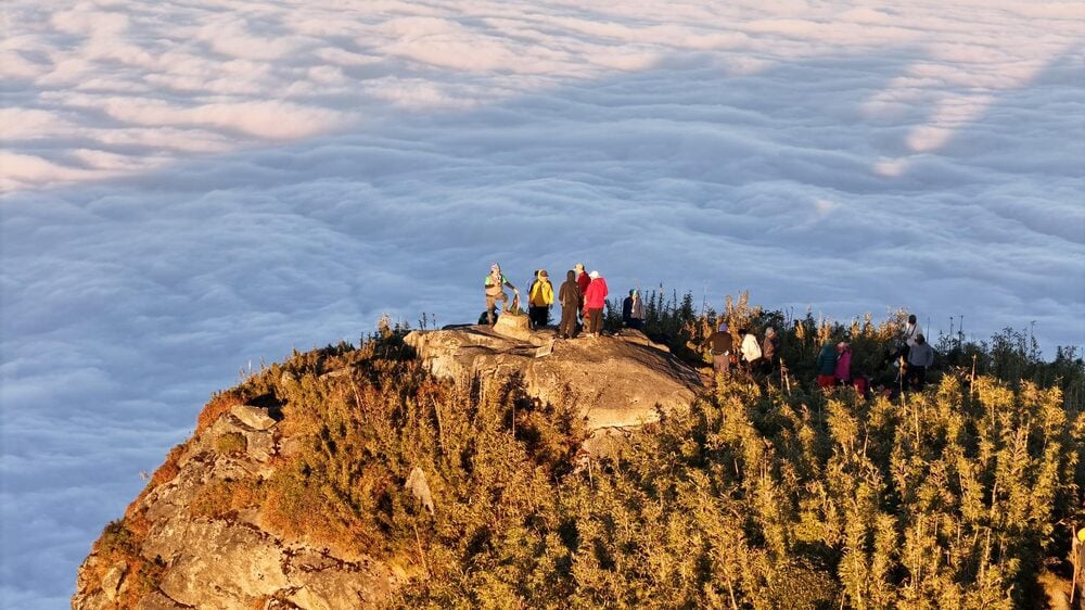 “This trip costs around 3-4 million depending on each person’s needs. To prepare well for the trip, I practiced walking 7-8km/session, 3 sessions/week. People who are afraid of heights will also have difficulty climbing Ngu Chi Son.” Photo: NVCC