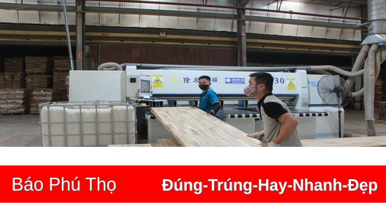 Nâng cao hiệu quả sử dụng đất