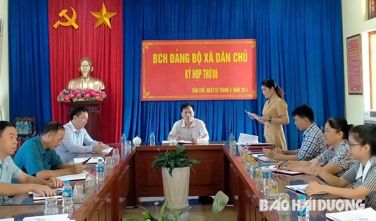 Dan Chu