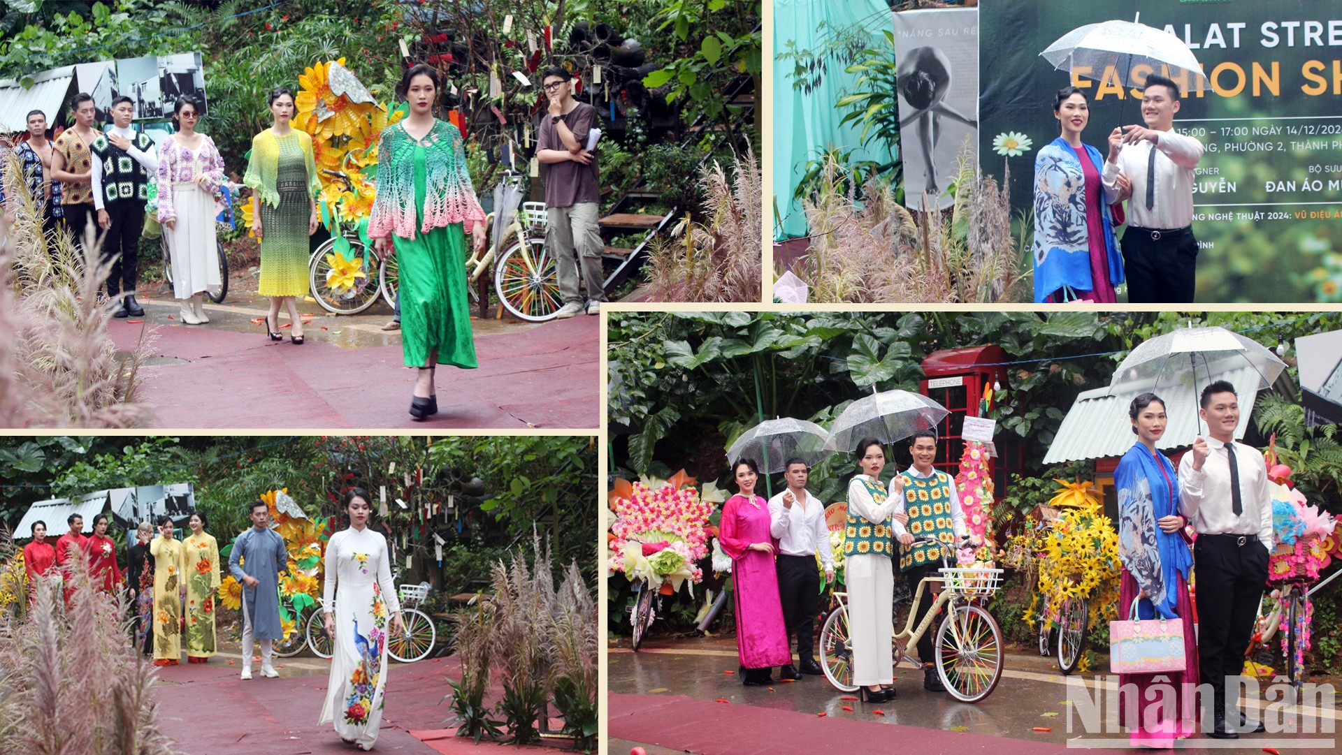 “Knitting spring clothes” in the chilly weather of Dalat photo 3