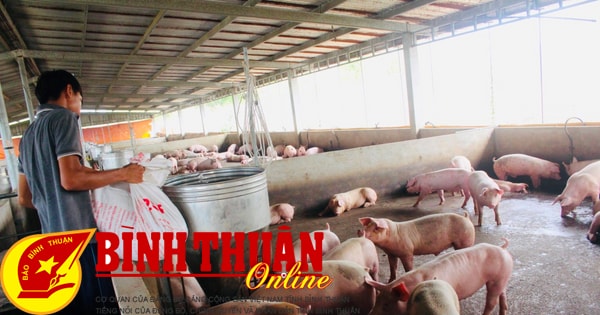 Toàn tỉnh hiện có trên 220 cơ sở chăn nuôi gia súc, gia cầm tập trung