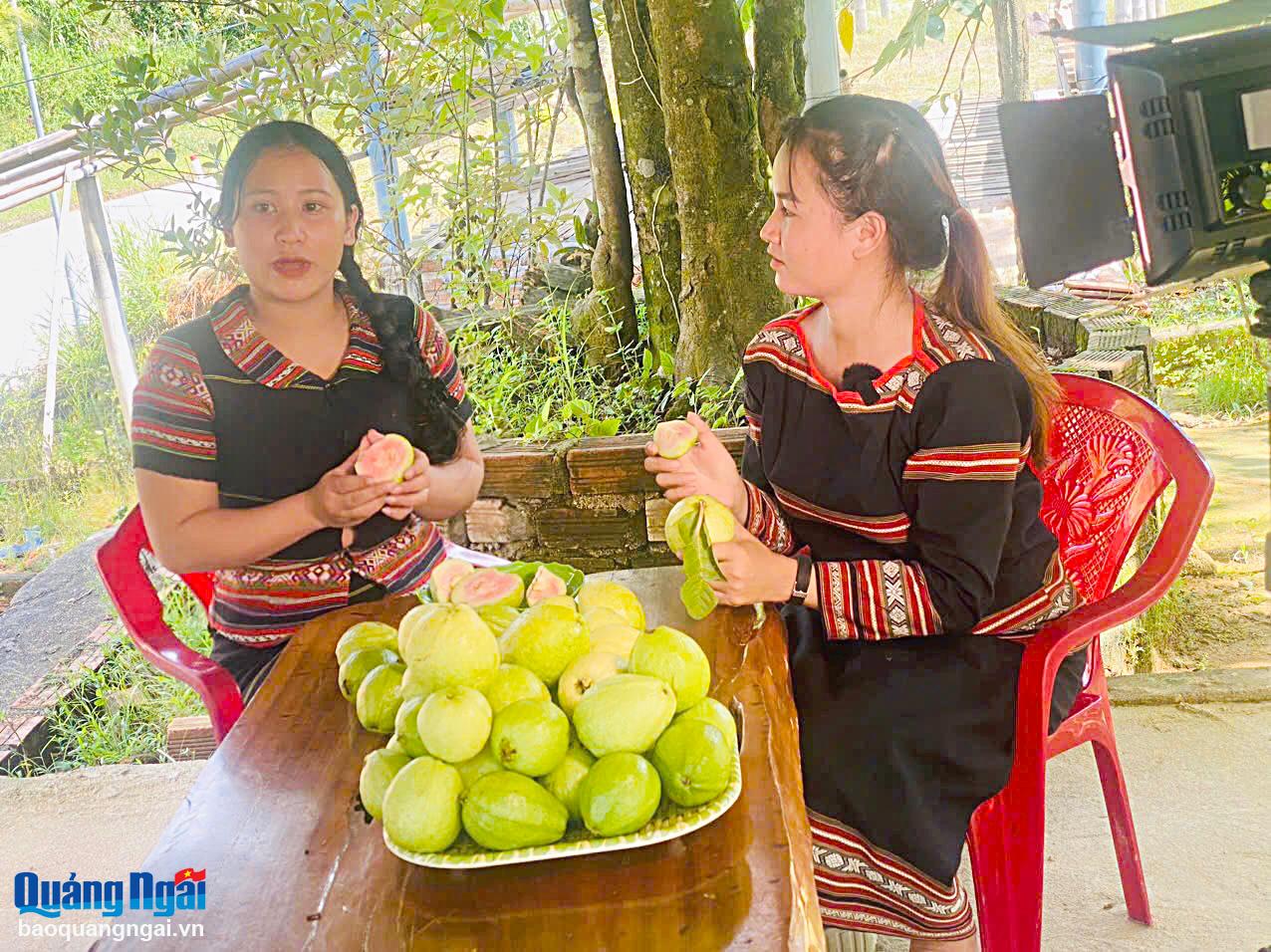 Mme Dinh Thi Thu Nguyet (à gauche), dans la commune de Son Long (Son Tay), lors d'une séance de vente en direct.