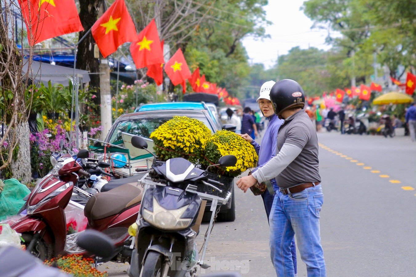 Rộn ràng không khí xuân ở chợ hoa Đà Nẵng ảnh 19