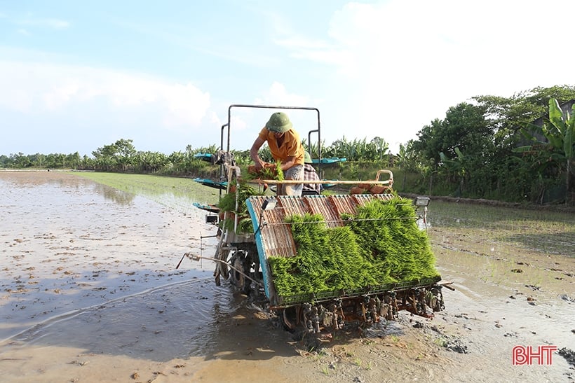 សហគ្រាស Que Lam អមដំណើរ Ha Tinh ដើម្បីអភិវឌ្ឍផលិតកម្មសរីរាង្គ