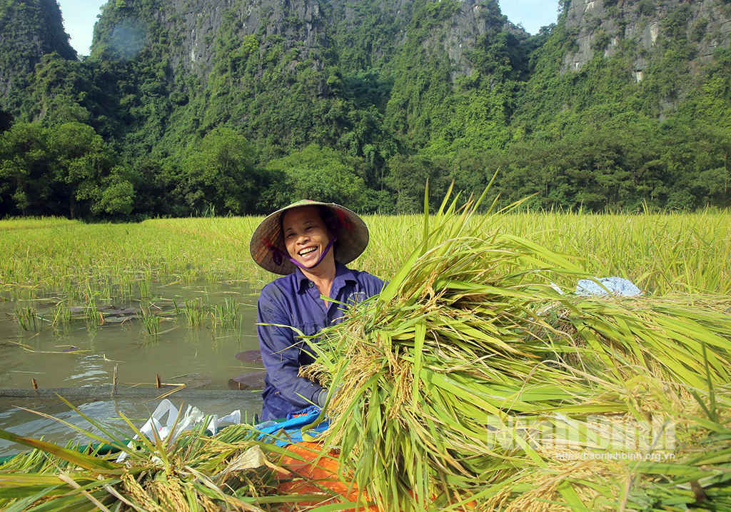 Mùa vui ở Tam Cốc