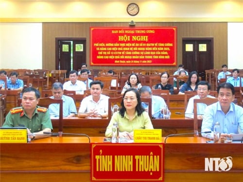 Ban Đối ngoại Trung ương Phổ biến, hướng dẫn thực hiện các đề án, chỉ thị của Ban Bí thư về công tác đối ngoại của Đảng