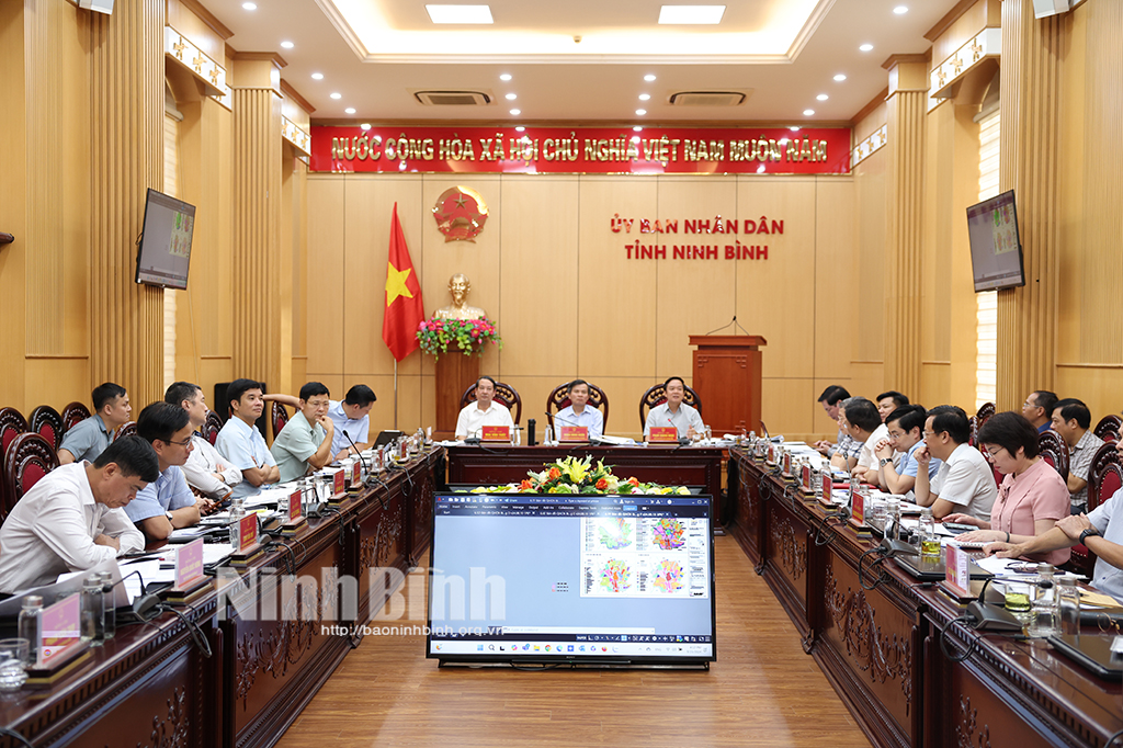 Konferansta, Hoa Lu Antik Başkenti Özel Milli Anıtı'nın Korunması, Restorasyonu ve Rehabilitasyonu Planlama Projesi hakkında bir rapor sunuldu.