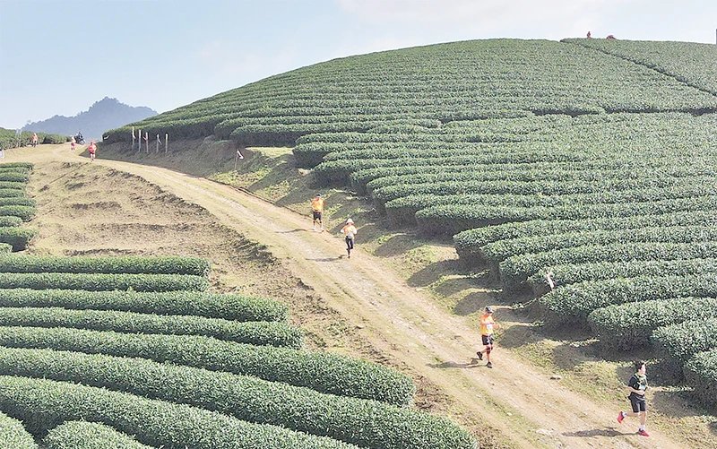 Phát huy thế mạnh của du lịch thể thao