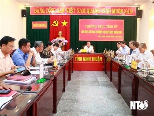 Le Comité permanent du Comité provincial du Parti travaille avec le Comité permanent du Comité du Parti du district de Ninh Son