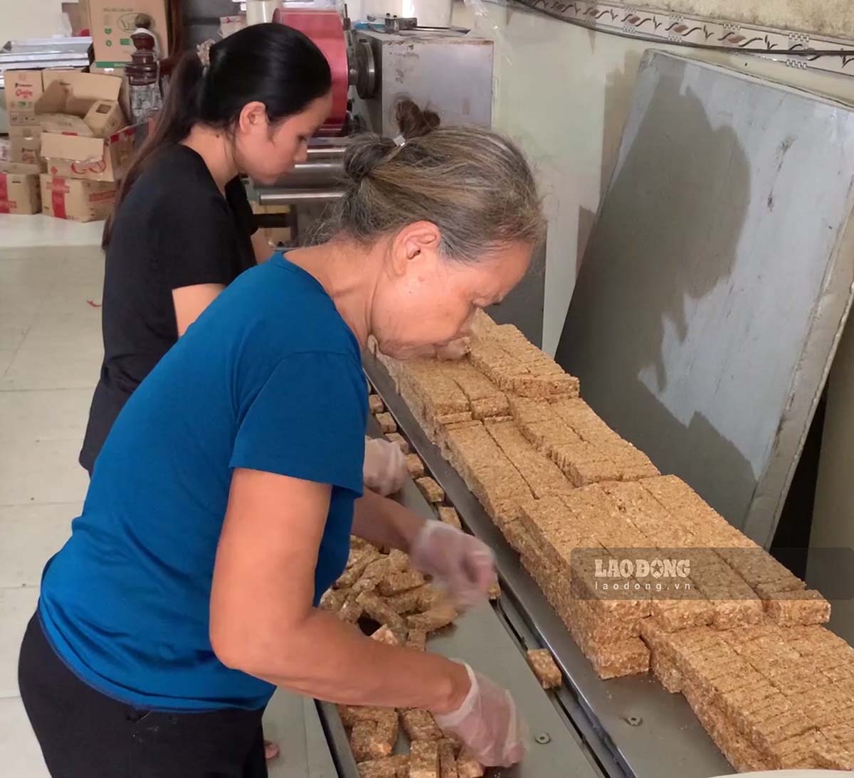 El proceso de elaboración de pasteles de pescado en la aldea de Nguyen Thai Binh se ha mejorado y modernizado. Foto: Luong Ha