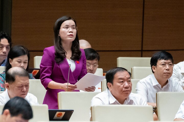 Delegierter Vu Hong Luyen (Delegation der Nationalversammlung der Provinz Hung Yen).