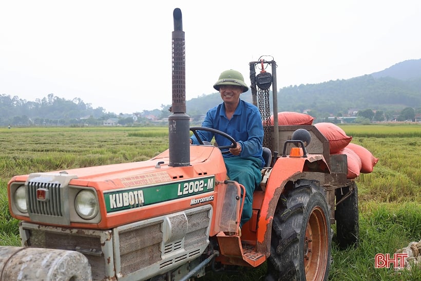 Summer-autumn rice prices increase, easy to sell, Ha Tinh farmers are happy