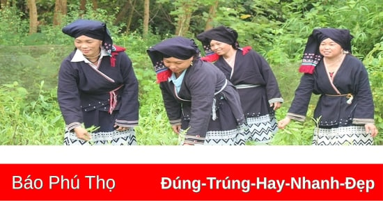 Hướng tới mục tiêu đảm bảo đất ở, đất sản xuất cho đồng bào dân tộc thiểu số