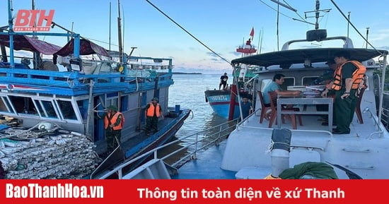 Sam Son actively fights against IUU fishing