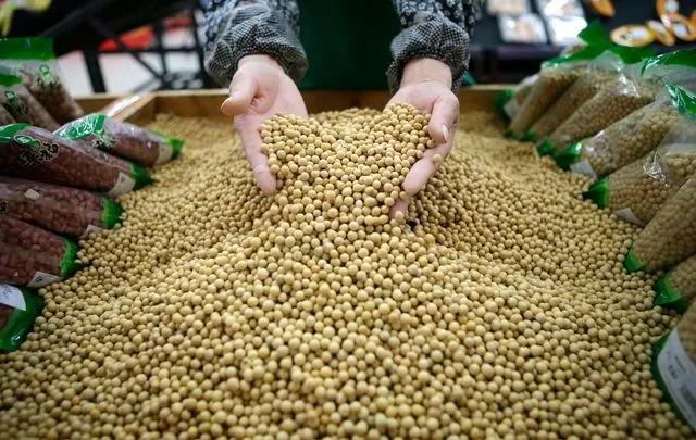 List of major soybean suppliers to Vietnam