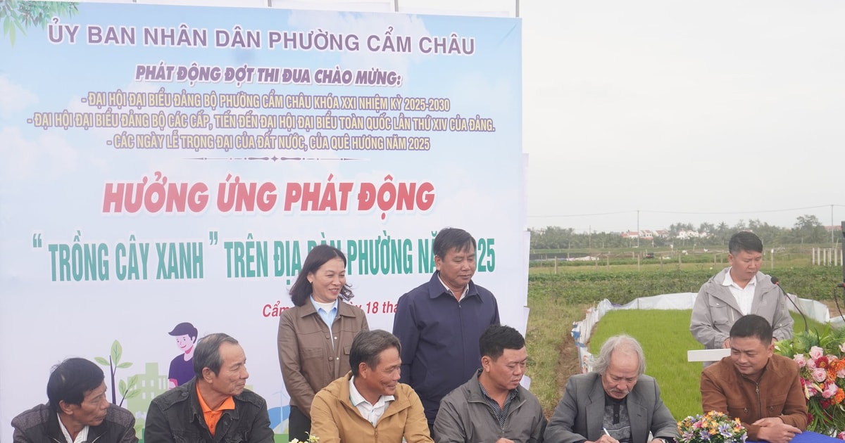 Hội An đẩy mạnh phong trào thi đua yêu nước chào mừng đại hội đảng các cấp