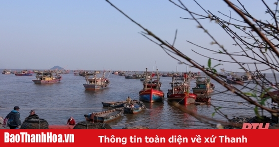 Chủ động ứng phó với đợt rét đậm, rét hại từ ngày 26/1