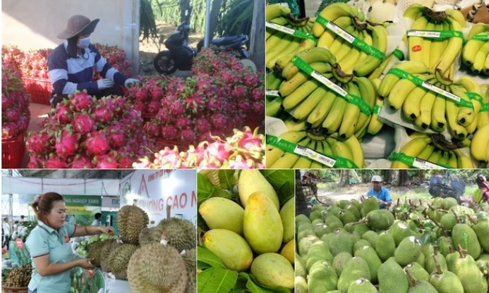 Las exportaciones agrícolas alcanzan un nivel récord