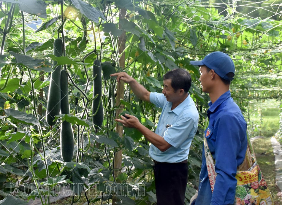 Lan tỏa mô hình hay, sáng tạo trong học và làm theo Bác