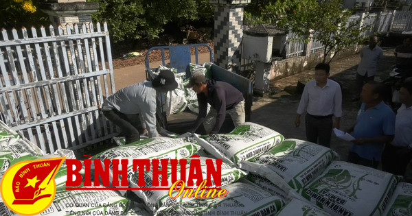 Cấp phát hỗ trợ phân bón vi sinh sản xuất lúa