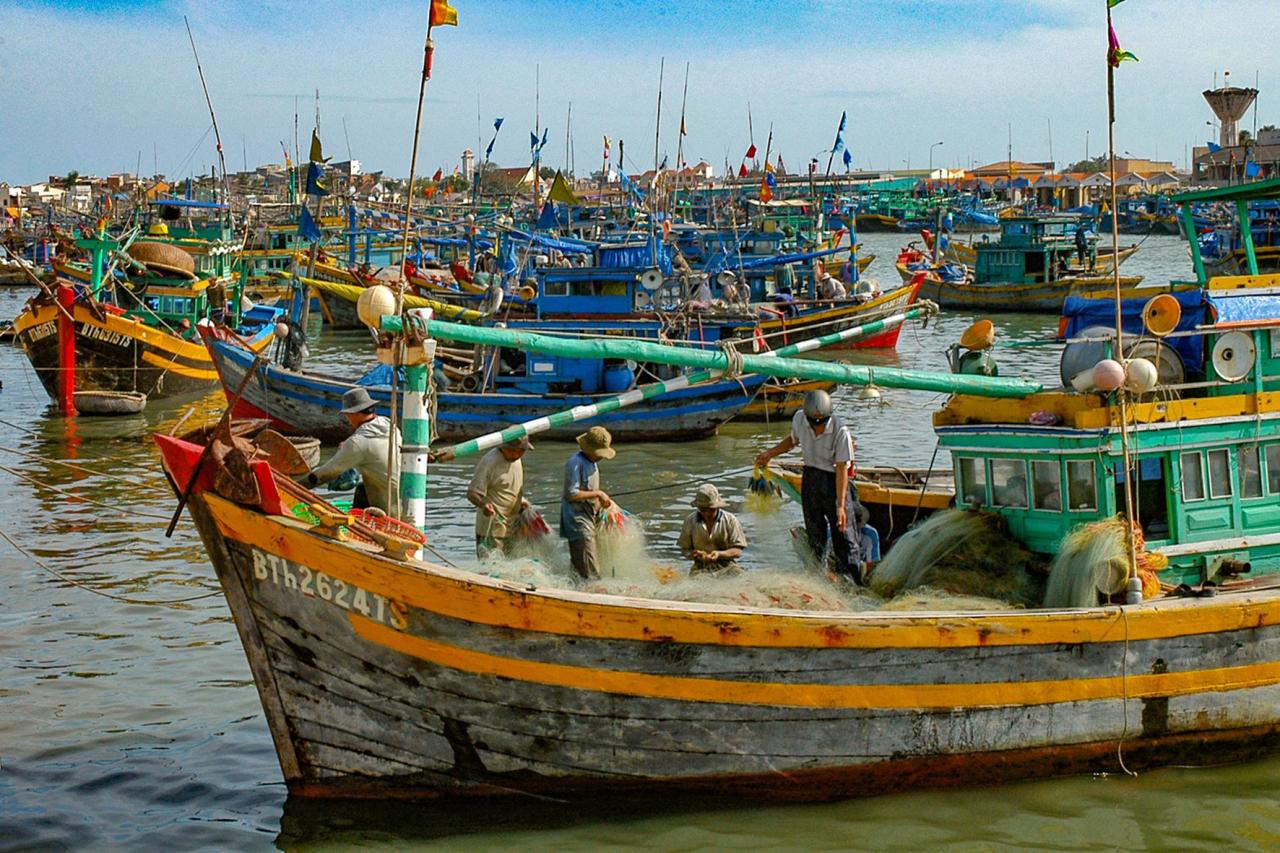 Seafood-catching-boat-in-Phan-thiet-Photo-n.-lan-6-.jpg
