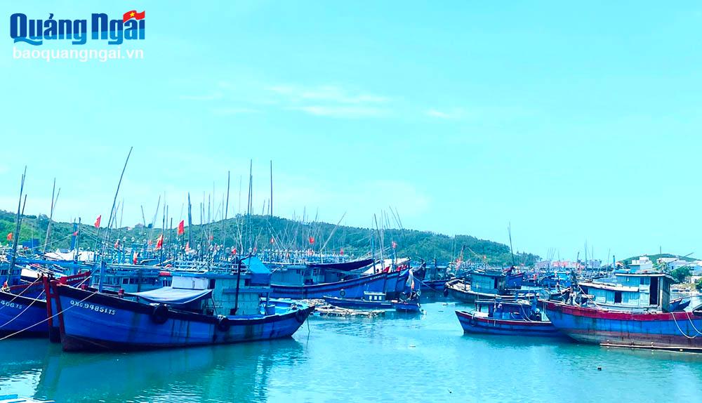 Bateaux de pêche ancrés au port de pêche de Sa Huynh (ville de Duc Pho).