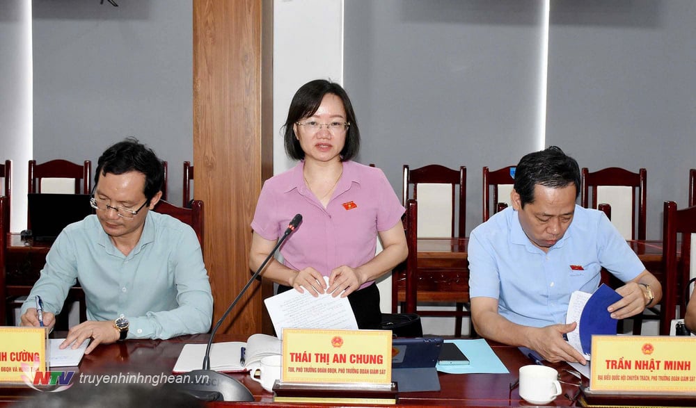 Comrade Thai Thi An Chung - Deputy Head of the Provincial National Assembly Delegation acknowledged the attention of Tan Ky district in supporting housing and land for people with revolutionary contributions.