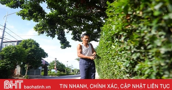 Không gian thanh bình nơi miền quê nông thôn mới ở thị xã Kỳ Anh