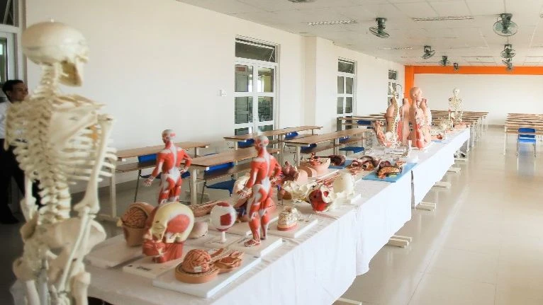 L'Université Dong A forme officiellement des médecins et des bacheliers en ingénierie de réadaptation photo 1