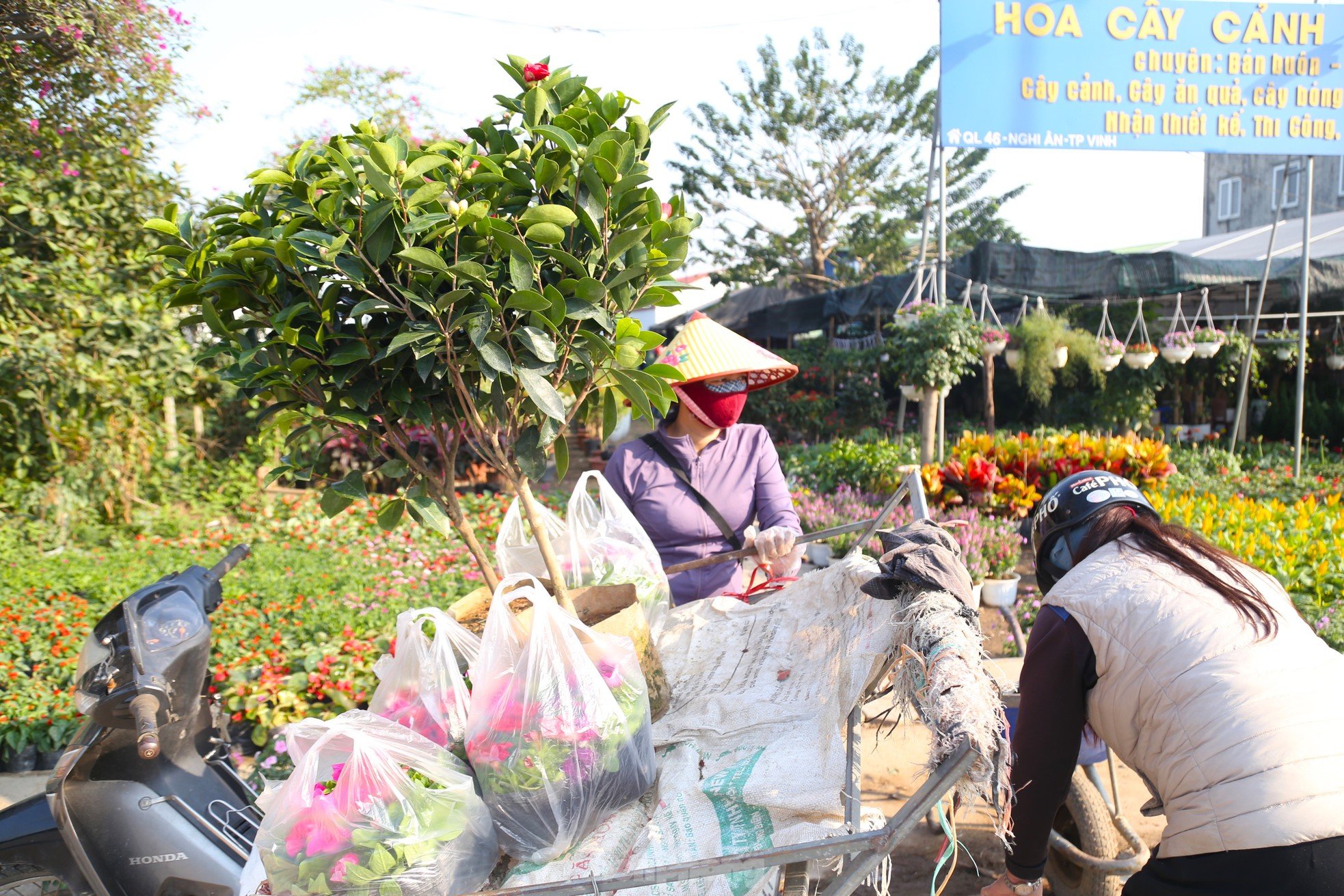 Ganándose la vida en el pueblo de las flores, con la esperanza de que llegue un cálido Tet, foto 8