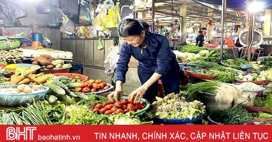 Giá rau xanh cao, nông dân Hà Tĩnh tranh thủ tăng diện tích sản xuất