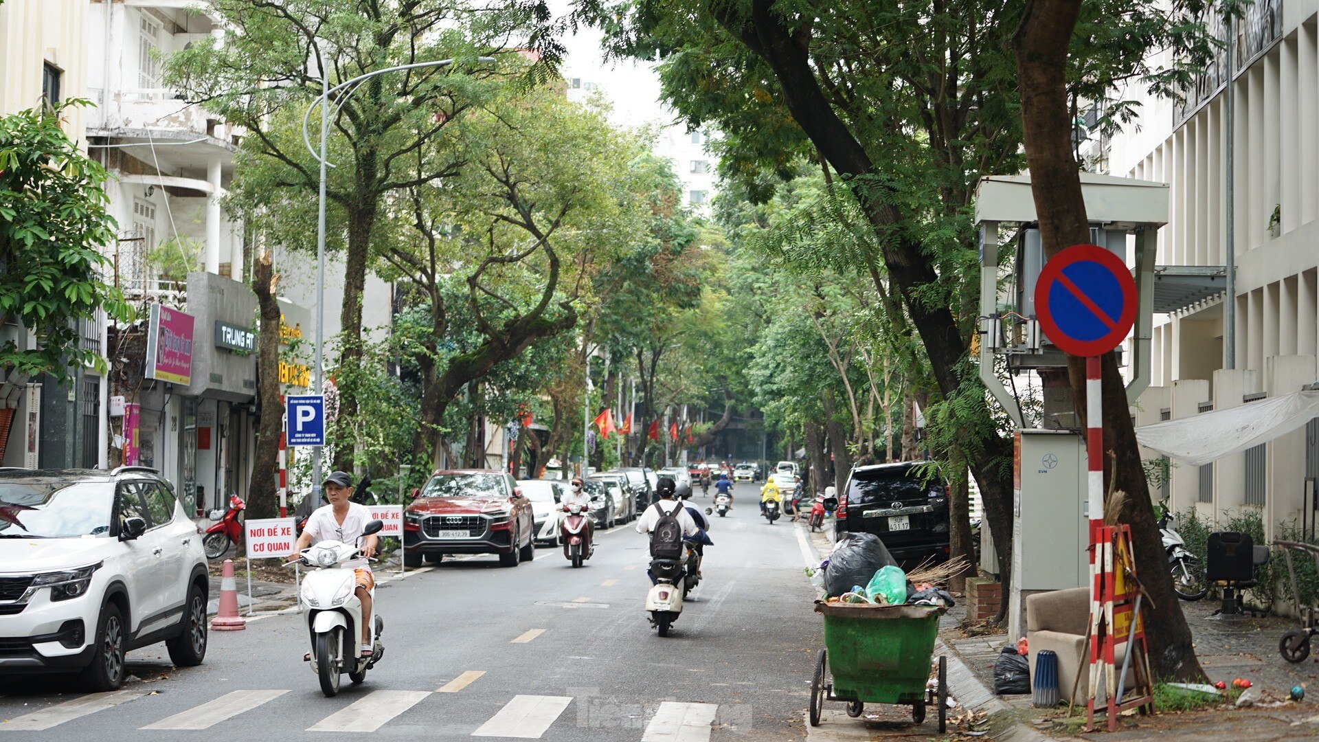 After cleaning up fallen trees, Hanoi begins to rebuild green space photo 4