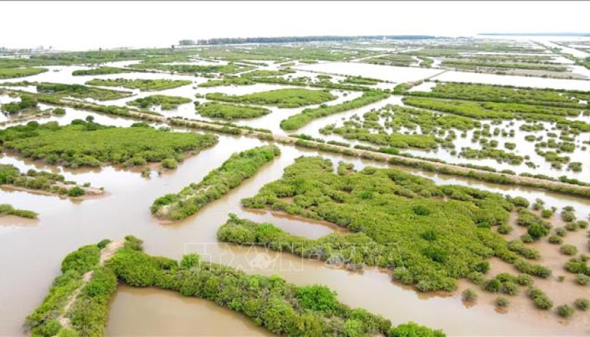 Thái Bình bảo đảm phát triển kinh tế biển đi đôi với bảo tồn đa dạng sinh học