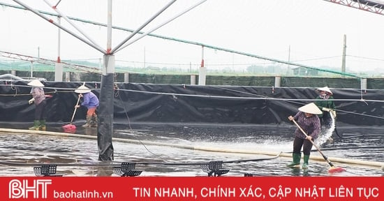 Bảo vệ tôm trước tiết giao mùa, chuẩn bị thả nuôi vụ mới