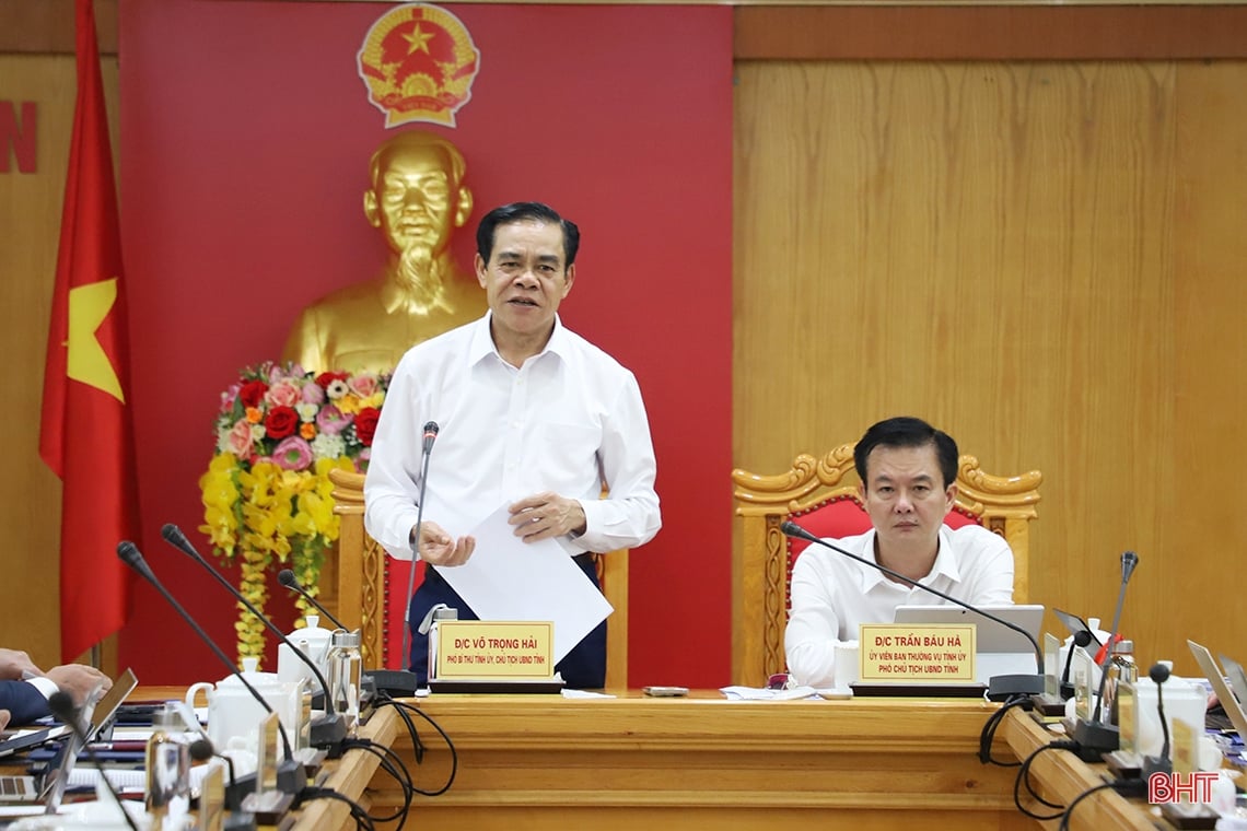 Ha Tinh towarzyszy Vietnam Electricity Group w realizacji projektów