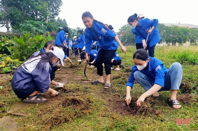 สมาชิกสหภาพเยาวชนห่าติ๋ญกว่า 4,000 คนตอบรับกิจกรรมวันอาทิตย์สีเขียวครั้งที่ 4