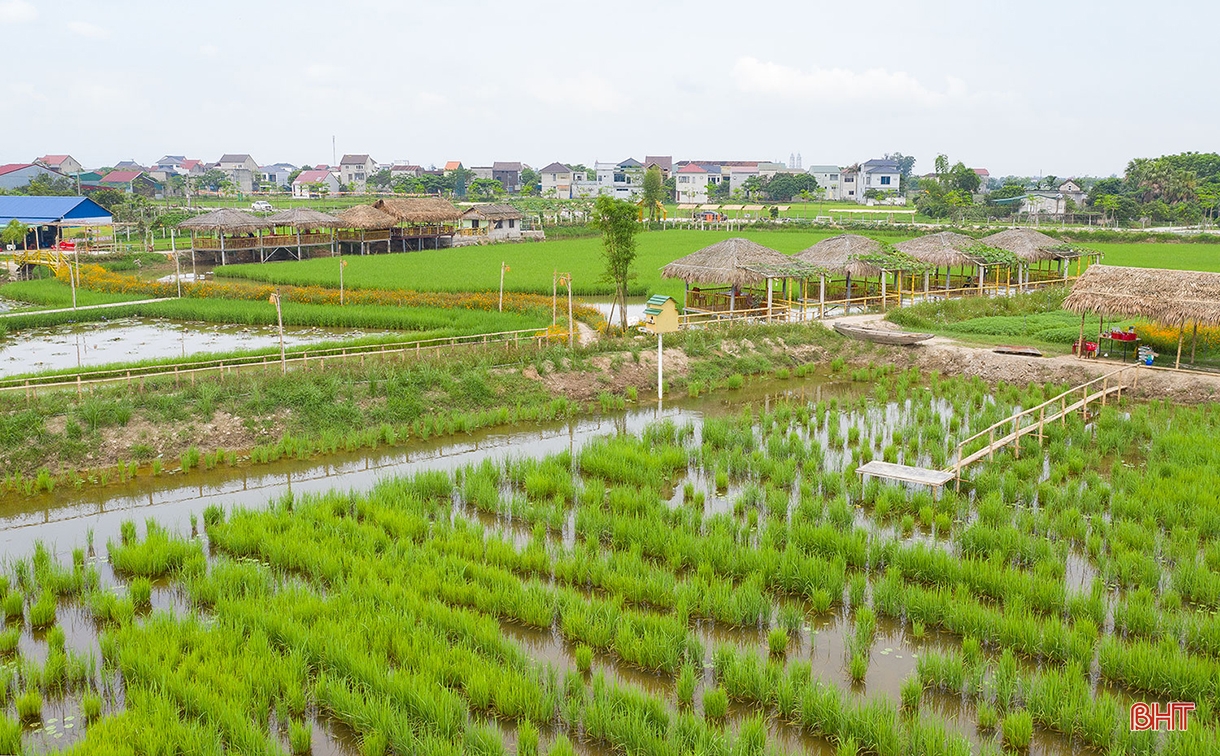 Building new rural areas in Ha Tinh: Going into depth, effectively and sustainably (part 2): Developing rural economy towards modernization and integration