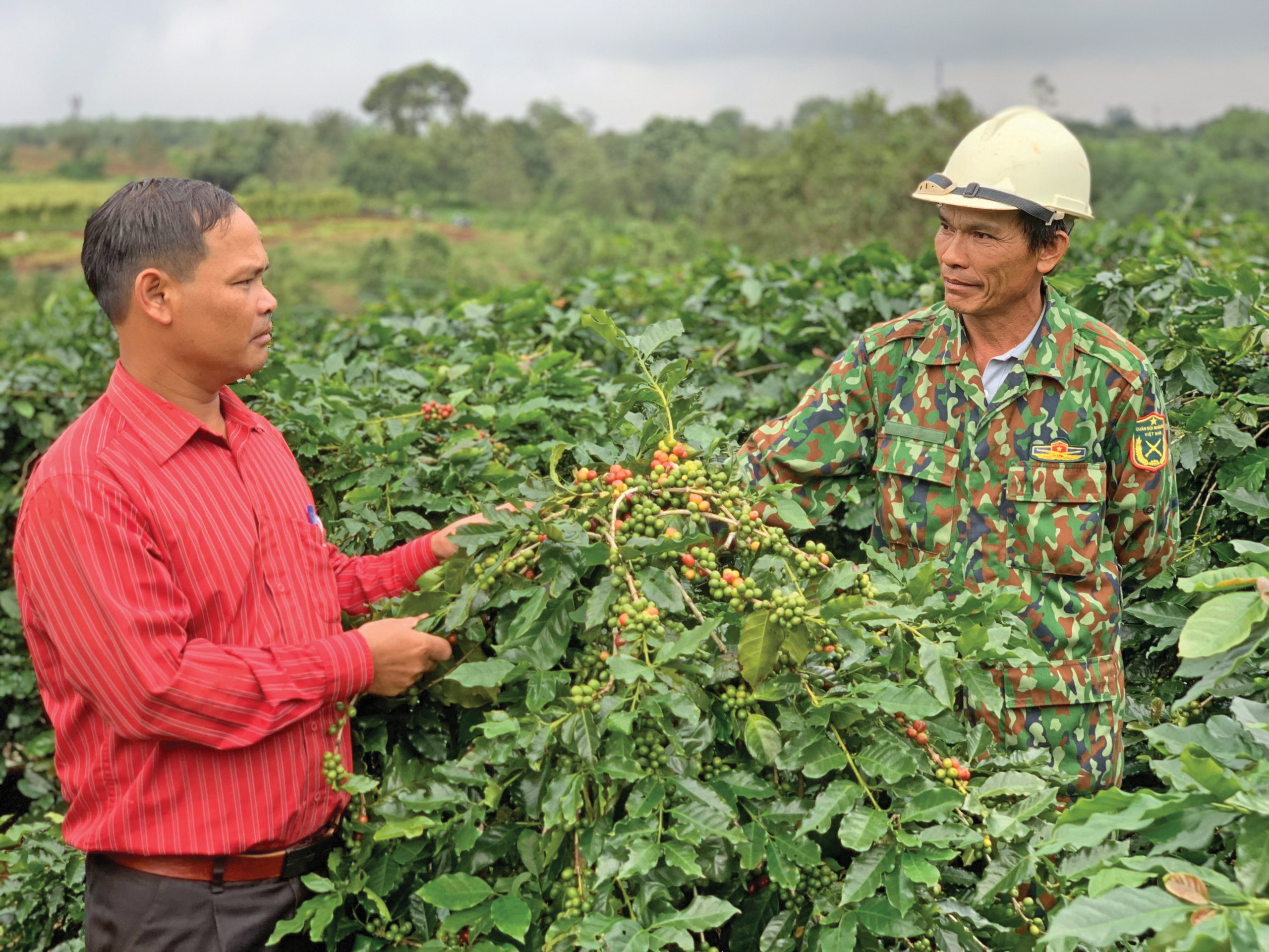 Huong Hoa ផ្តោតលើការអភិវឌ្ឍន៍ផលិតផលកសិកម្មធម្មតា។