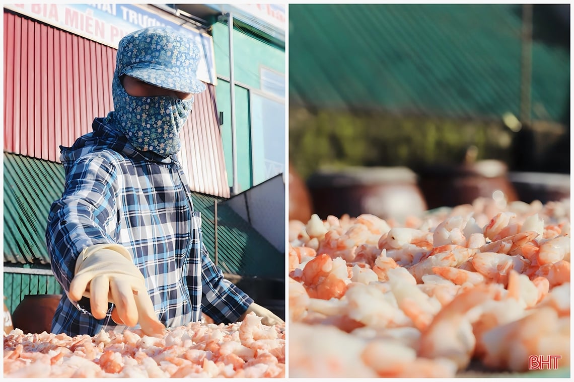 Las instalaciones de procesamiento de mariscos en Ha Tinh están ocupadas 