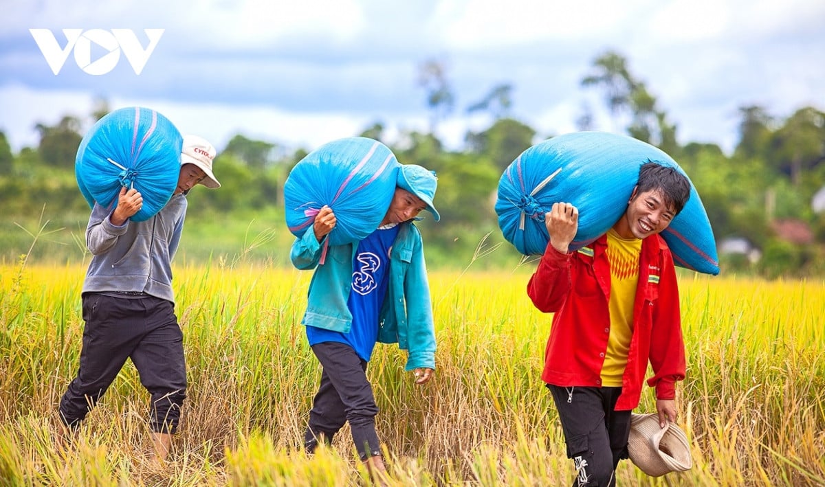 Dong xanh, mua vang o noi giao duyen giua song sau va nui lua hinh anh 8
